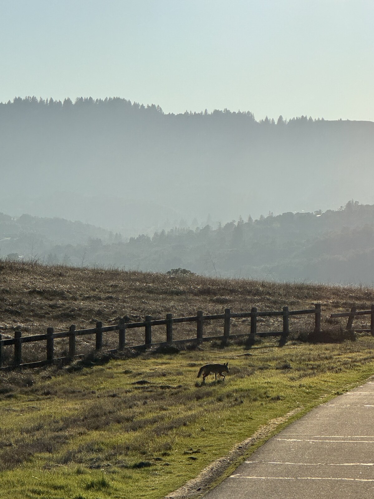 Stanford Hills