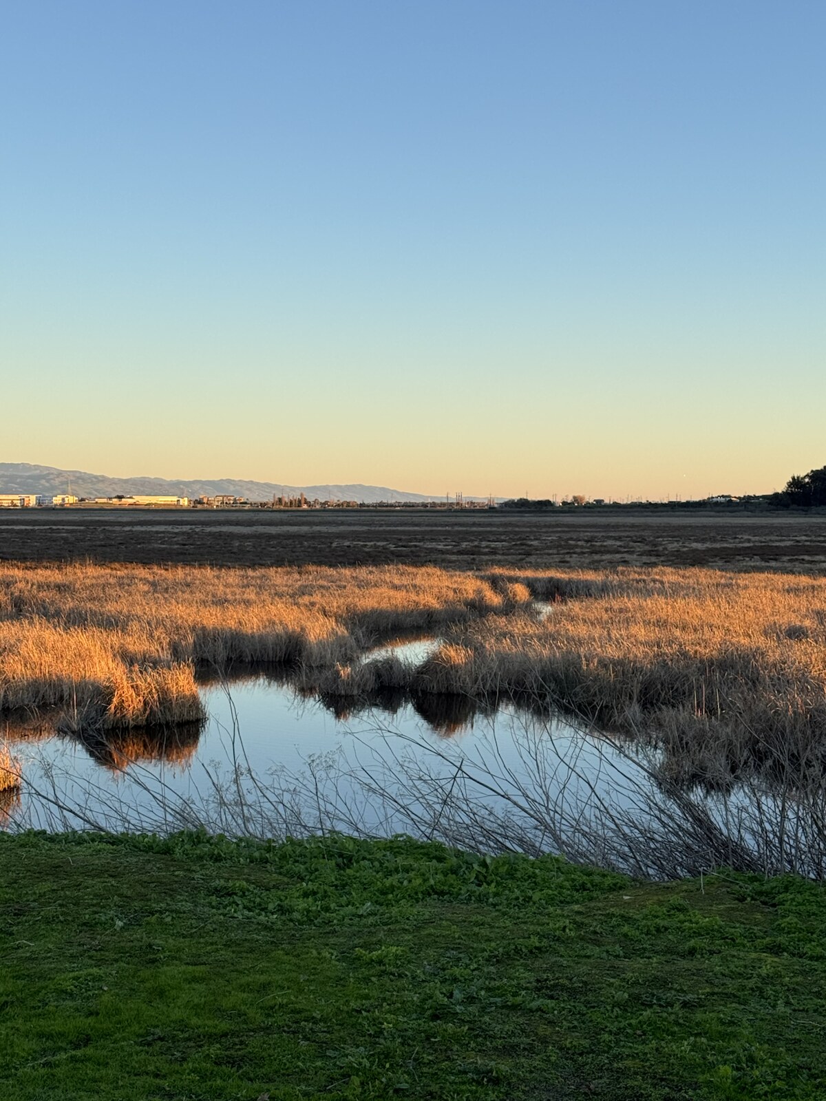 Coyote Hills Regional Park